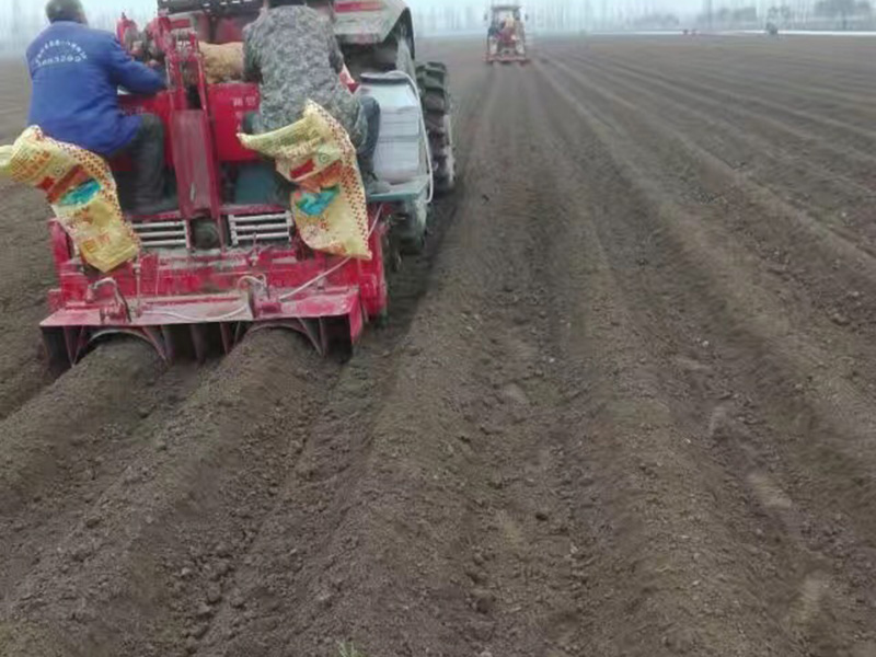 雙壟單行馬鈴薯種植機1.jpg